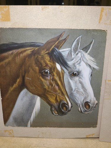 1902 Rare Muller Luchsinger Chromolitho Plates Prints Rock & Domino Prince &... - Picture 13 of 18