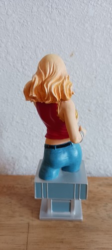 WONDER GIRL BUST (MISSING THE LASSO) DC COMICS BRAND NEW DEFECT OPENED BOX - Picture 4 of 7