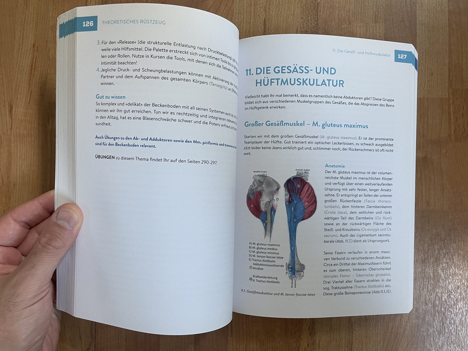 Thumbnail - Praktische Funktionelle Anatomie Von Nici Mende (2021, Taschenbuch) -