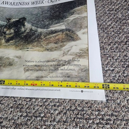 1998 Wolf Awareness Week 18.-24. Oktober Canis Lupus Information Wandposter - Bild 5 von 9