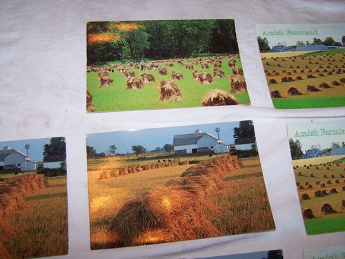 8 unbenutzte AMISH Farmland Postkarten - Bild 3 von 5