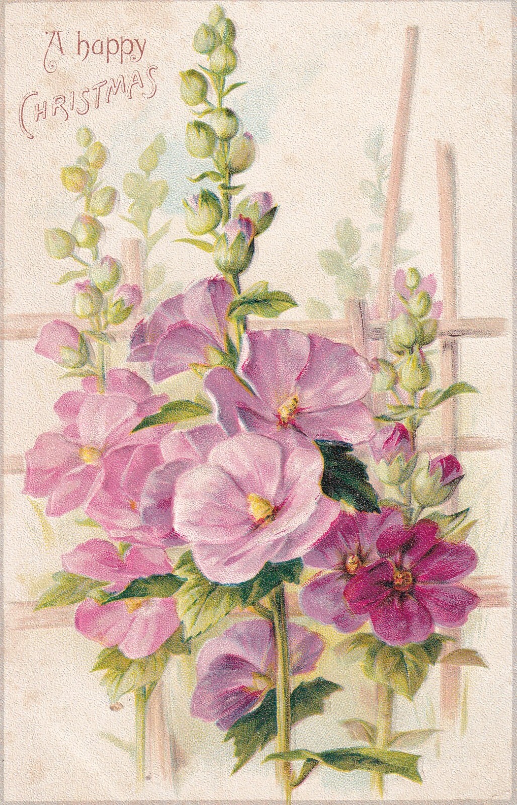Picture 34 of 48
