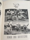 Foto 7 di 15
