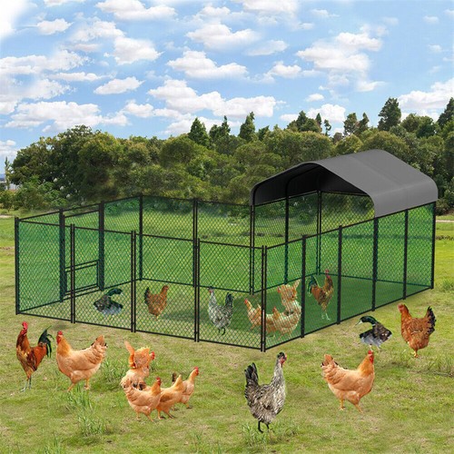 Large Metal Chicken Coop Run Walkin Poultry Cage w/ Peaked Roof Hen Rabbit House - Picture 7 of 28