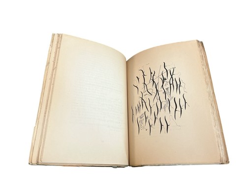 Federico Garcia Lorca Poeta en Nueva York 1a Ed Seneca Mexico - Imagen 4 de 5