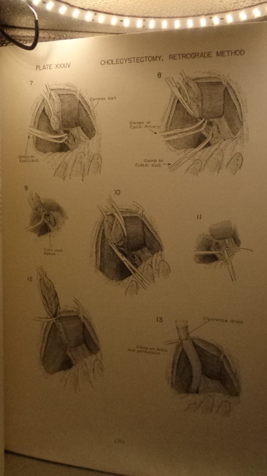 Picture 16 of 16