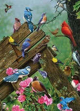 Cobble Hill Birds of the Forest 1000 Piece Jigsaw Puzzle By Jerry Gadamus