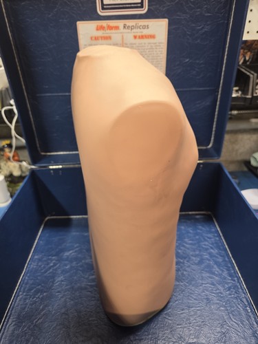 Life Form Replicas Upper Torso Injectable Body Part In Hard Case - Picture 7 of 10