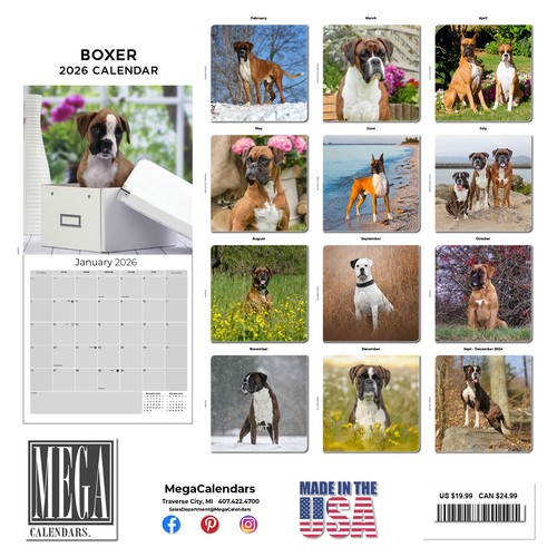 Boxer Hunderasse Kalender 2026 volle Größe 12x24 Made in USA - Bild 3 von 10