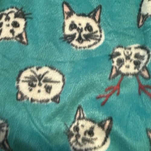FLIRTITUDE Sleepwear Women PJ Lounge Pants Size Medium cats very soft - Picture 2 of 4