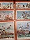 Foto 1 di 8