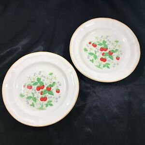 Pair-of-Brick-Oven-Strawberry-Antique-Array-7-3-4-Salad-Plates
