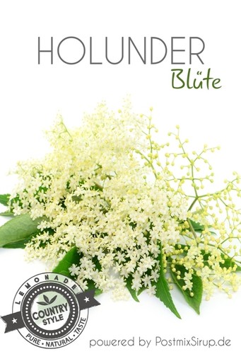 Holunderblüte - Sirup - Holunder - Getränkesirup - Postmix - 10lBiB  (7,50€/L) - Imagen 1 de 2