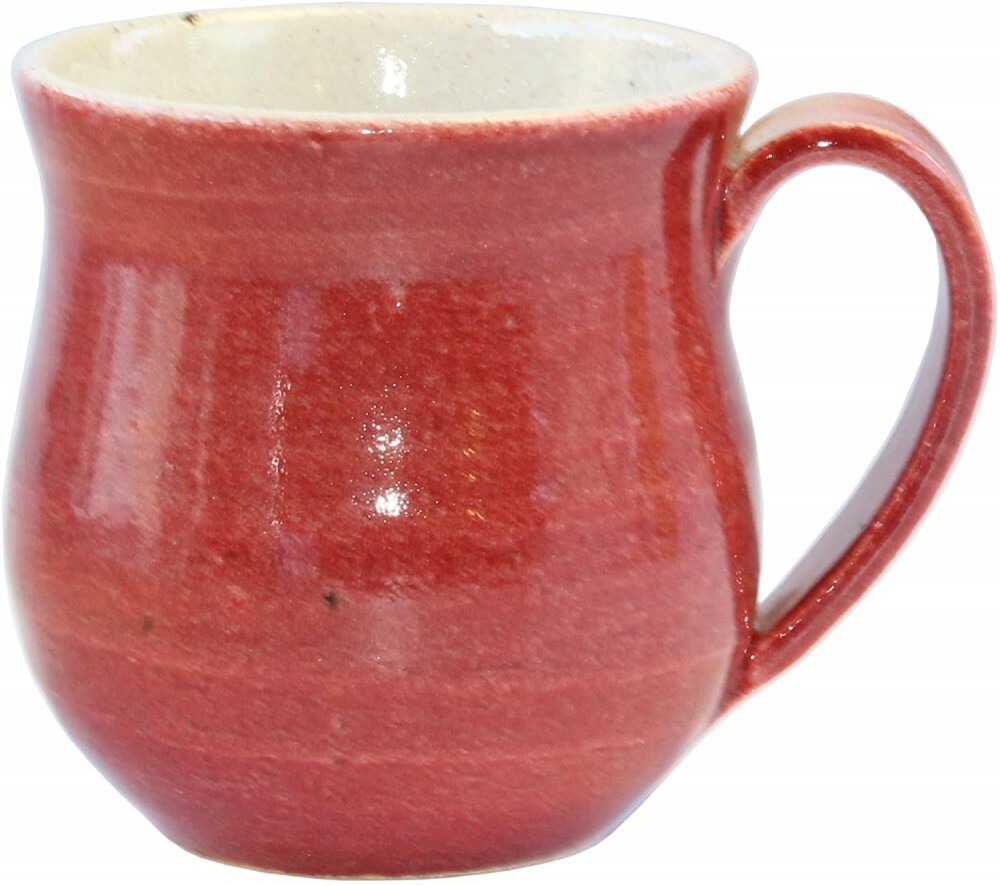 Taza De Cerveza Shigaraki Yaki Japonesa Libre Saiun Roja w30406 Japón