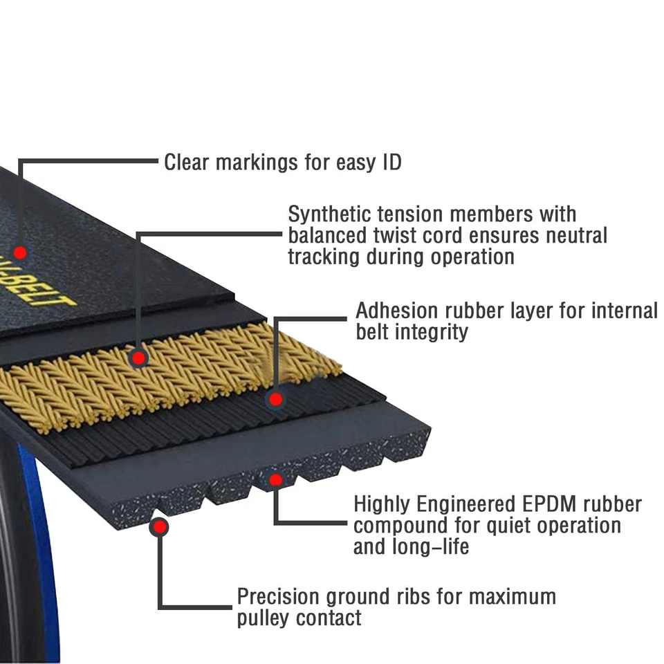 Nueva transmisión por correa Serpentine para Oldsmobile Cutlass Supreme Base V6 3,1 L 1993-1995 Foto 4 de 4