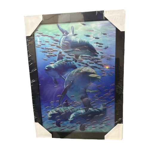 3D holografisches linsenförmiges Delfine schwarz gerahmtes Bild (11,5" x 15,5")