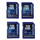 Delkin Devices 16 GB Camera Memory Cards