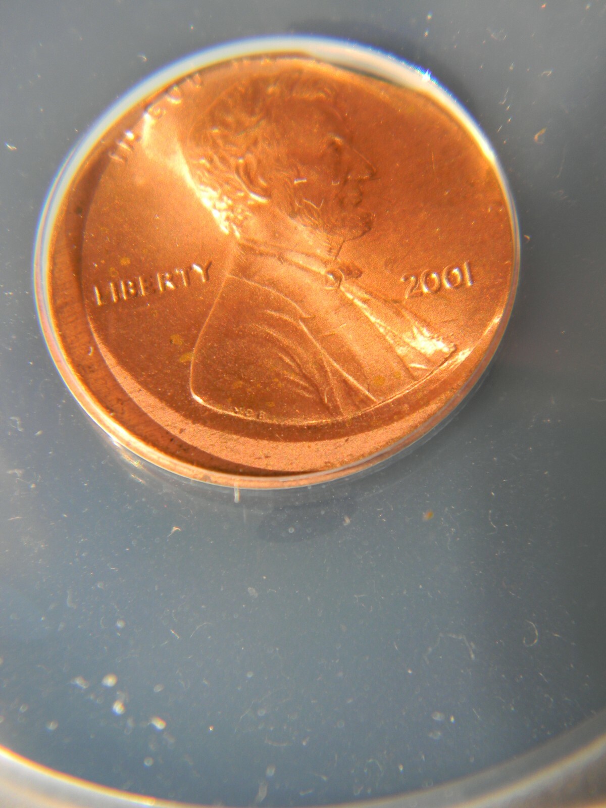 Picture 4 of 4