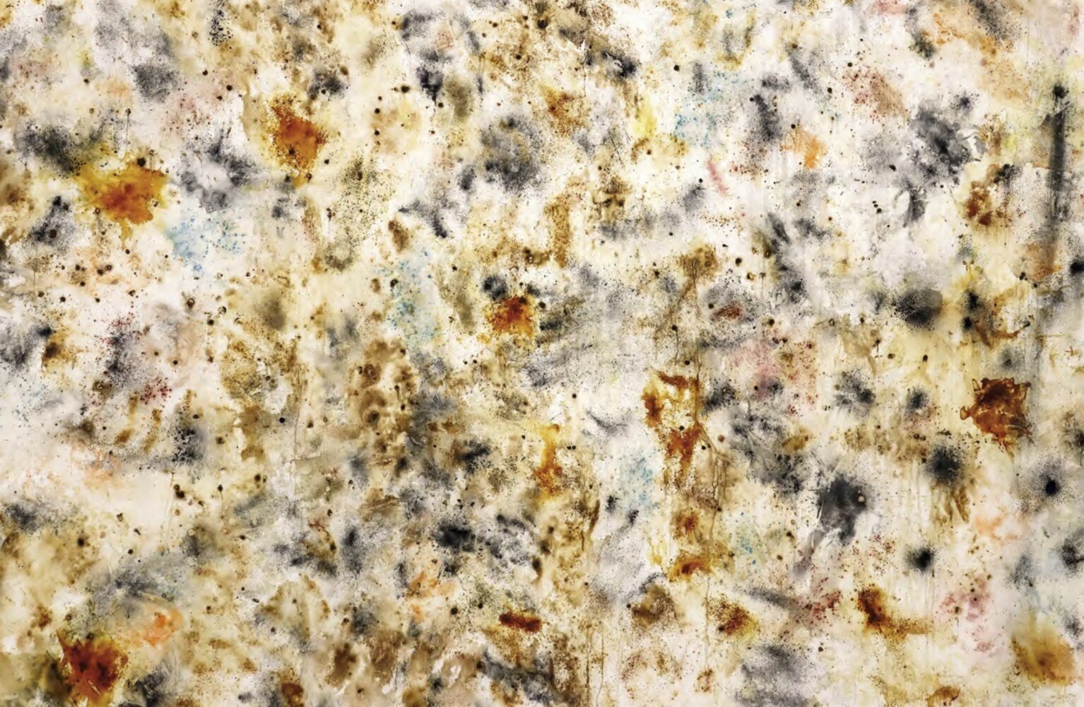 Thumbnail - Monika Kus-picco | Medizin In Farben | Buch | Deutsch (2021) | 224 S.