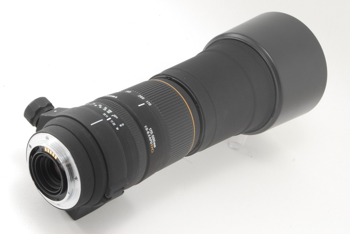 美品‼️SIGMA170〜500ミリ Amazon.co.jp: シグマ 170-500mm F5-6.3 APO DG キヤノン用