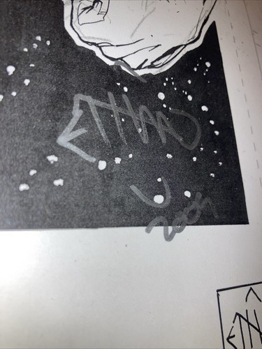 11x17” LE 62/259 ARTE FIRMADO ETHAN VAN SCIVER 2009 IMPRESIÓN Linterna Verde en Manga - Imagen 10 de 10