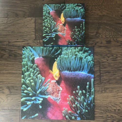 Springbok Puzzle Pesce Oceano Tropicale Il Mare Vivente Completo Tutti 500+ Pezzi - Foto 3 di 11