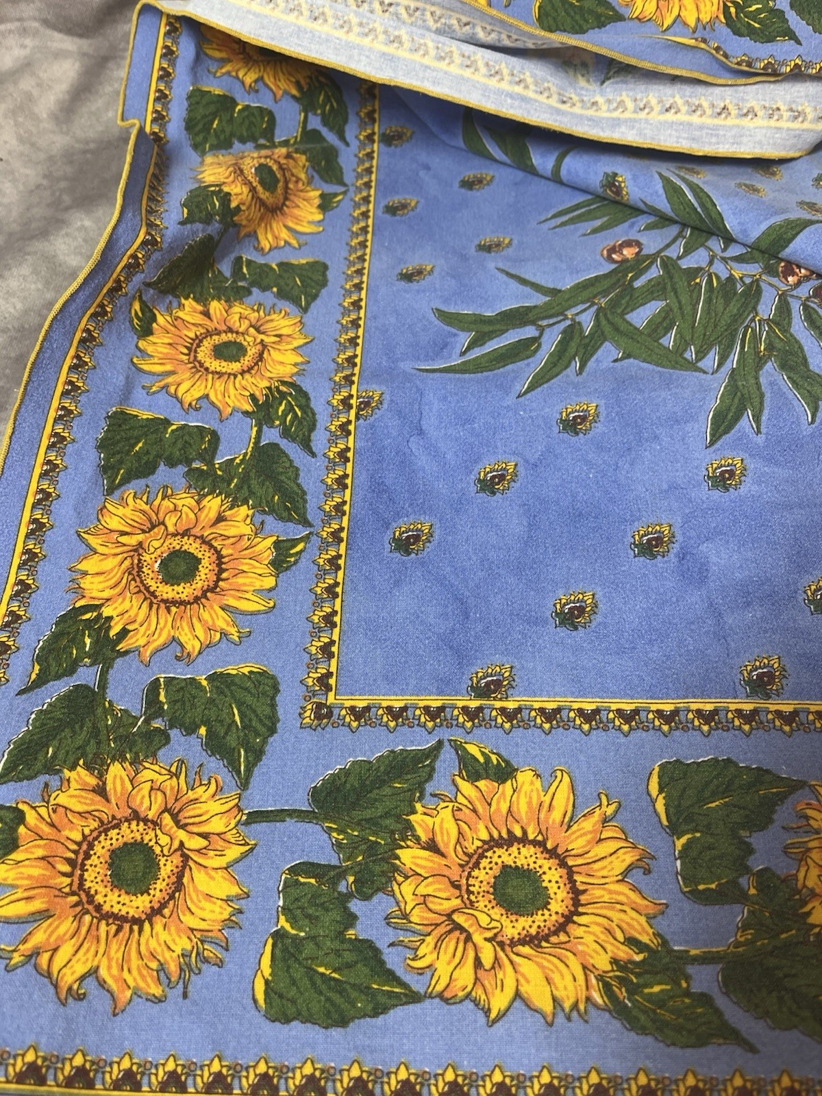 Picture 4 of 5