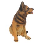 Simulation Dog Model Simulation Animal Educational Model Simulation Puppy Model