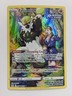 Passimian TG08/TG30 - SWSH12: Silver Tempest Trainer Gallery Holo Pokemon TCG NM