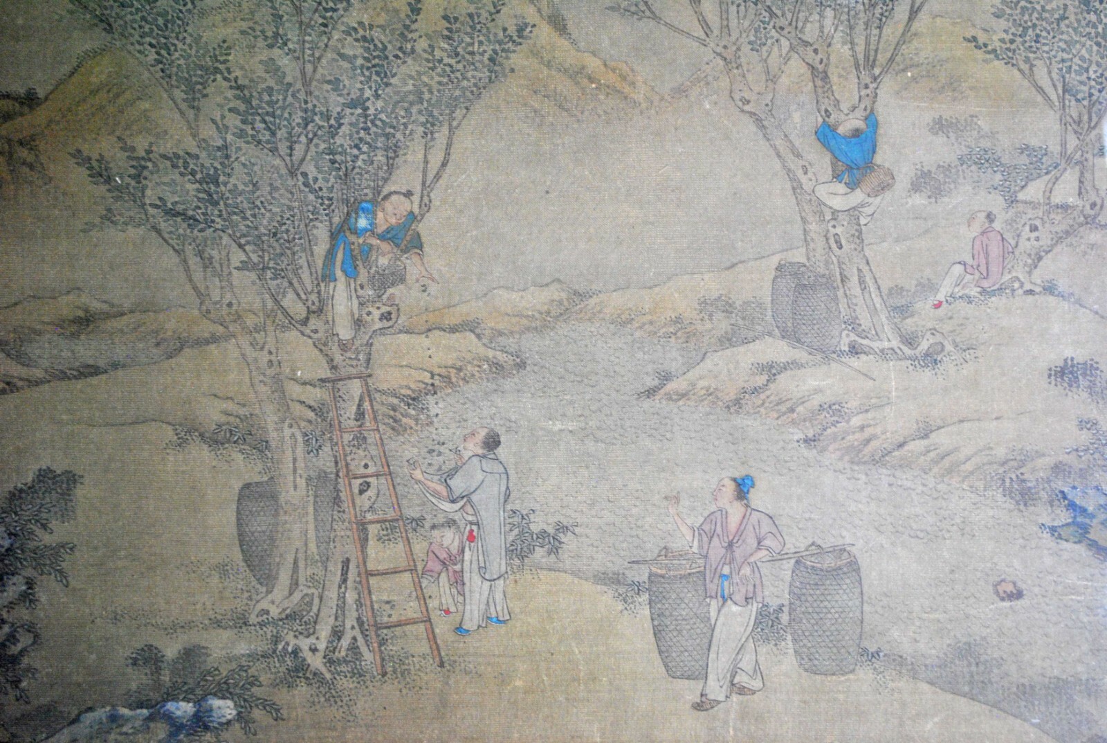 Picture 2 of 12