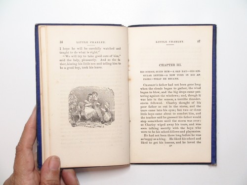 Little Charley's Puzzle, American Sunday-School Union, 1st Ed, Scarce, 1859 - Picture 8 of 9