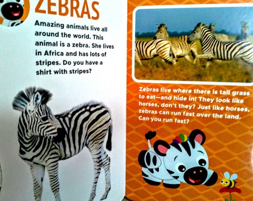 Baby Einstein "Animals of the World" Video Fun Board Book Pre-K Elementary NEW! - Picture 2 of 3