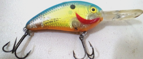 4 Crankbait Lure Excalibur Bagley Berkley Cordell Deep Dive Shad Frenzy - Picture 11 of 19