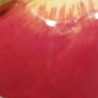 Bild 8 von 8