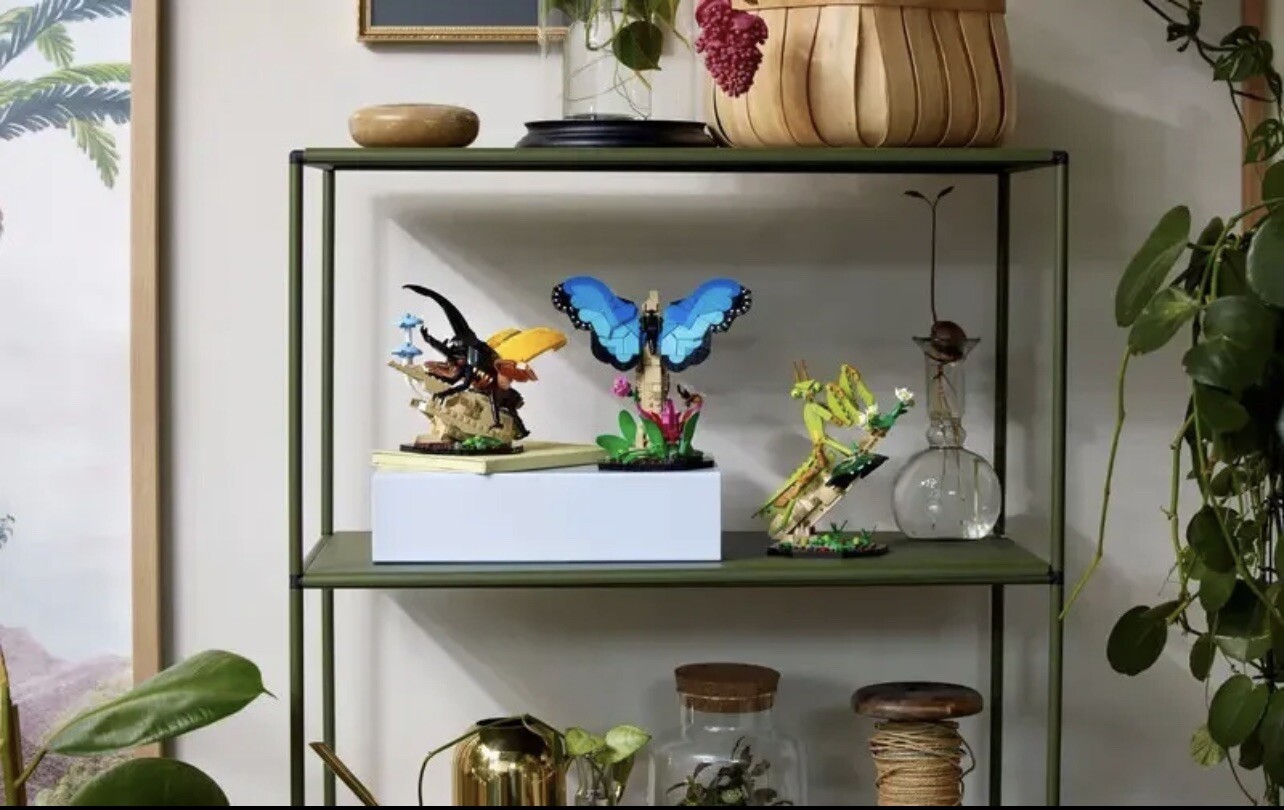 LEGO IDEAS 21342 The Insect Collection Brand New Sealed Discount Code Available - Picture 4 of 9