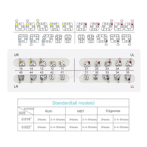 AZDENT Dental Orthodontic Brackets Braces Metal Standard Roth Slot.022 Hooks 345 - Picture 11 of 20