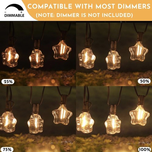 Outdoor Star String Lights LED Waterproof 52 Dimmable Edison Bulbs Connectable - Picture 2 of 10