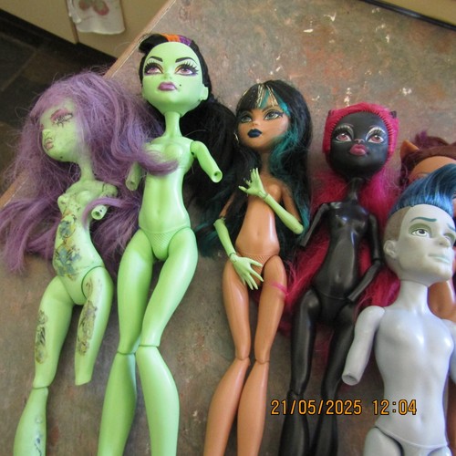 Mattel Monster High Dolls Lots of Body Parts (Note most dolls missing body part) - Picture 2 of 16