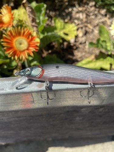 Gancho Jerkbait Colorshift 110 Estilo Afinado Shad St-36 Pintado Personalizado - Imagen 4 de 11