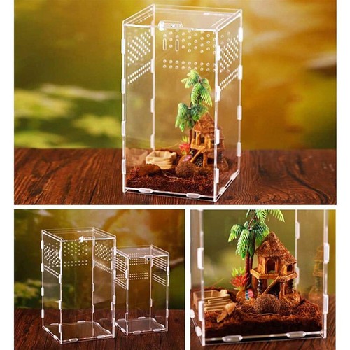 Acrylic Reptile Plant Feeding Box Lizard Spider Breeding Cage Transparent Boxes - Photo 1 sur 17