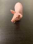 Foto 4 di 6