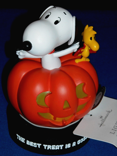 Hallmark Halloween Peanuts Vampir Snoopy & Woodstock Lite Up Kürbis Neu mit Etikett