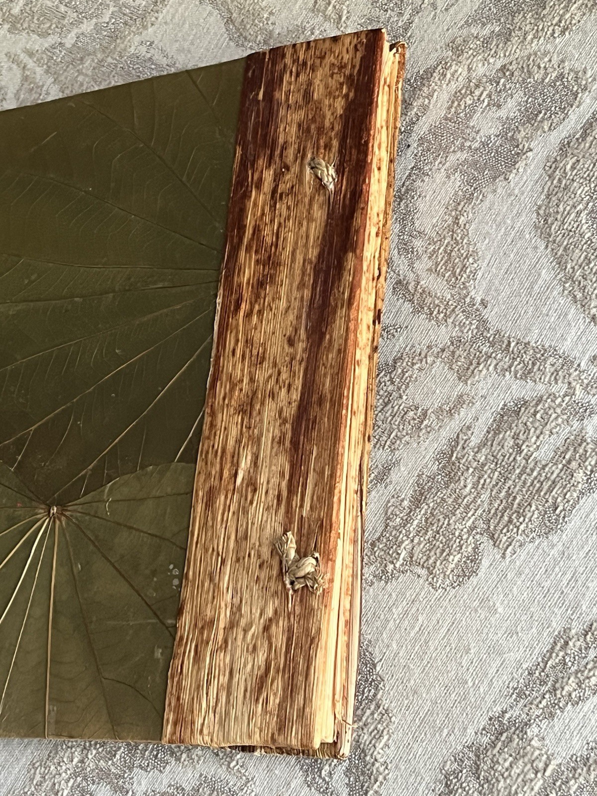 Picture 16 of 22