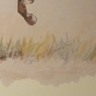 Bild 5 von 12