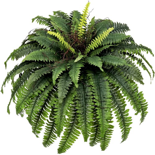 Large Artificial Ferns for Outdoor 51" Fake Boston Fern 66 Fronds Faux Ferns ...