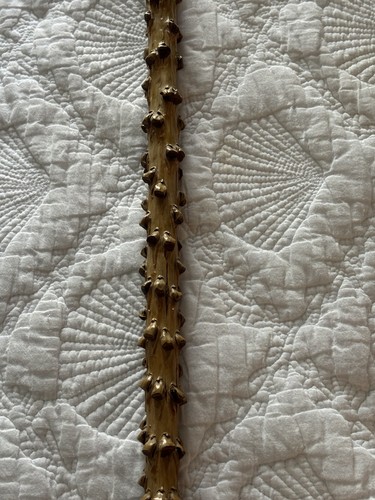 Antiguo arte popular de cactus indio antiguo de colección bastón nudoso mango de ladrón bastón 34 - Imagen 4 de 7