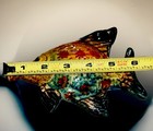 Foto 8 di 13