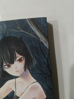 Picture 3 of 11