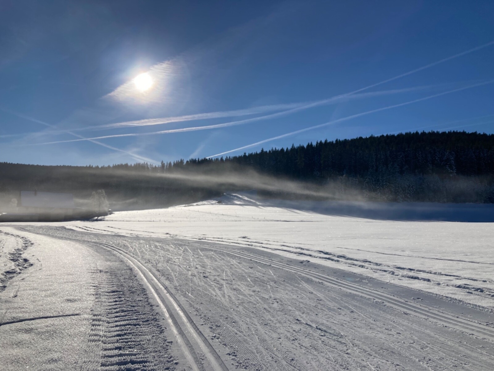 Bild 1 von 20