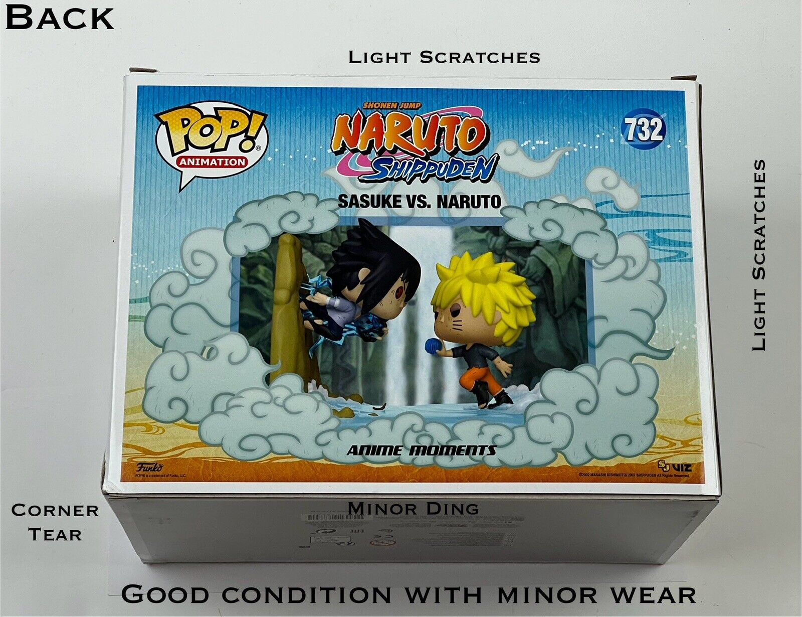 Foto 5 di 6
